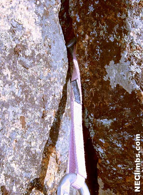 pink tricam