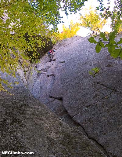 The Roof