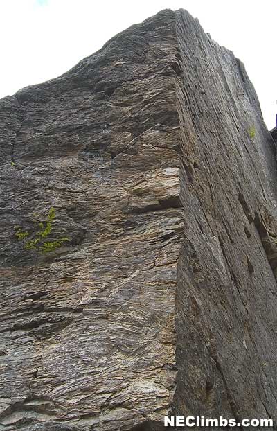 Thriller Arete Thriller Arete