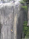 peanutGallery