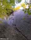 theRoof theRoof